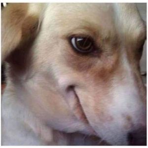 Meet your Posher, Kendall